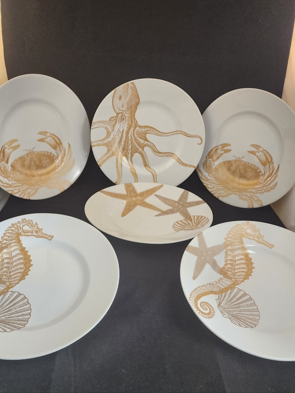 222 Fifth Coastal Life Gold Salad Plates Set of 6.